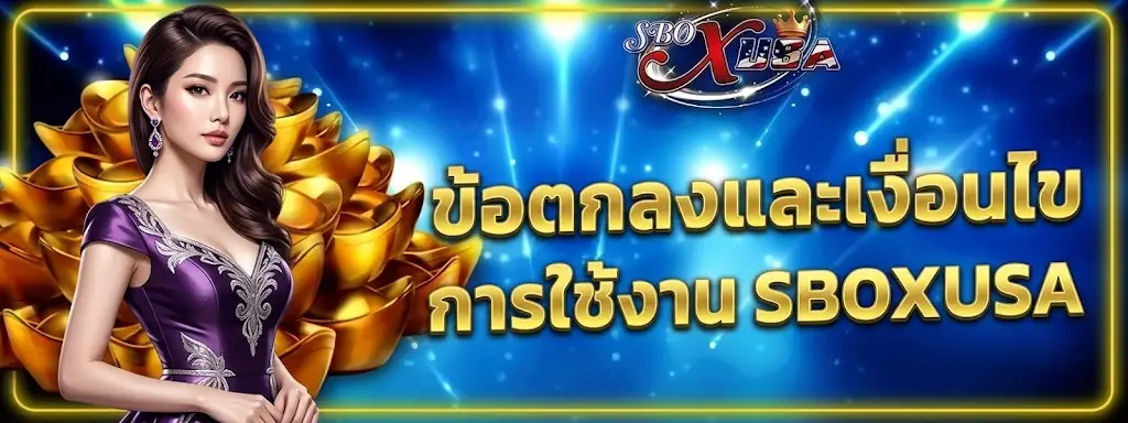 ข้อตกลงและเงื่อนไขการใช้งาน SBOXUSA